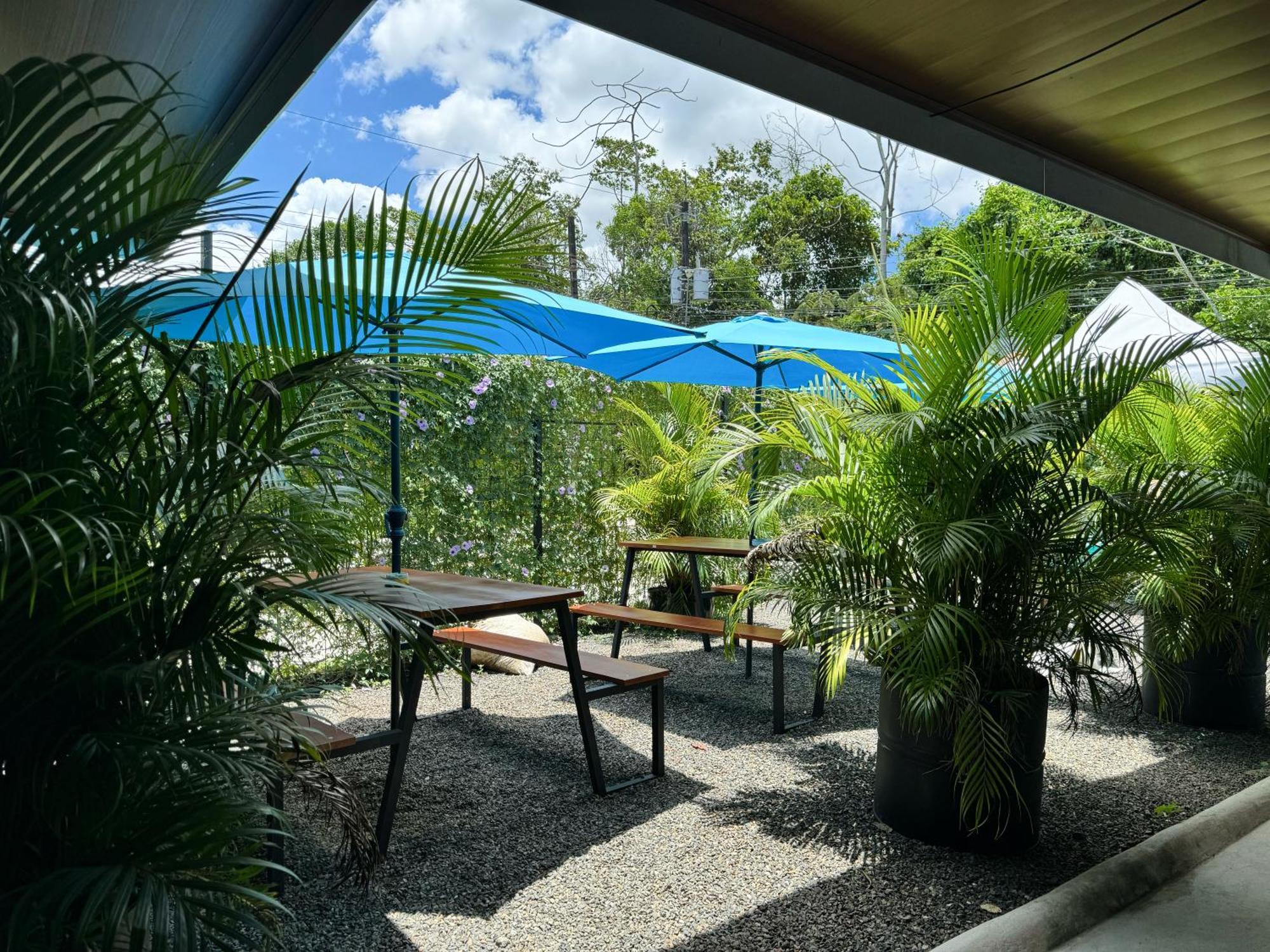 Pura Vibra Hostel La Fortuna Eksteriør billede