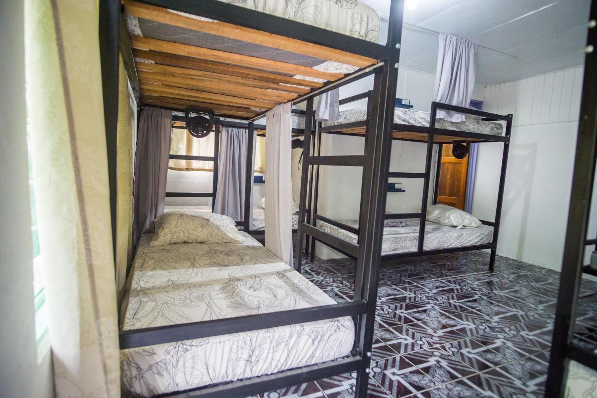 Pura Vibra Hostel La Fortuna Værelse billede